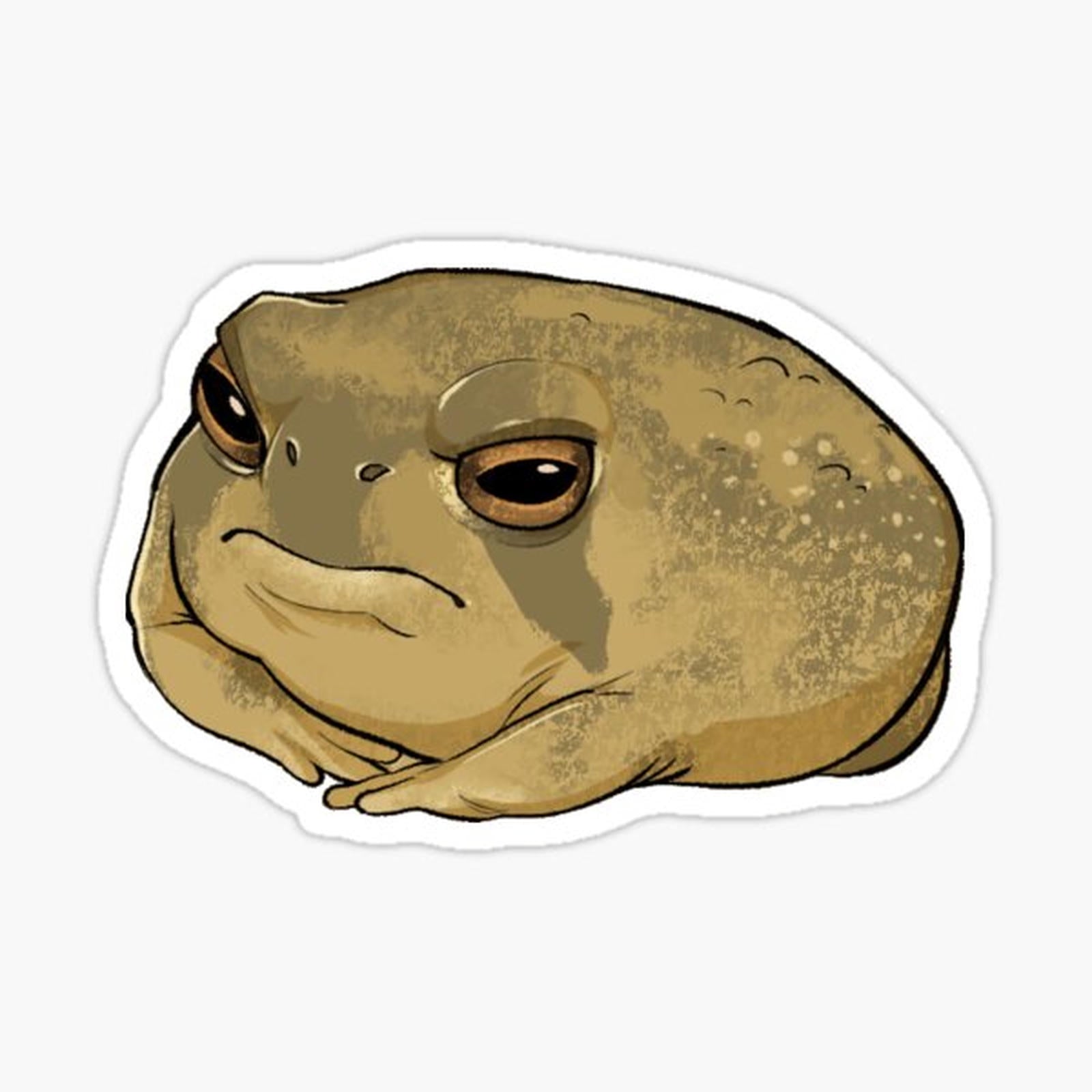 Angry Rain Frog