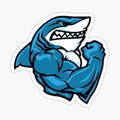 Angry shark muscle