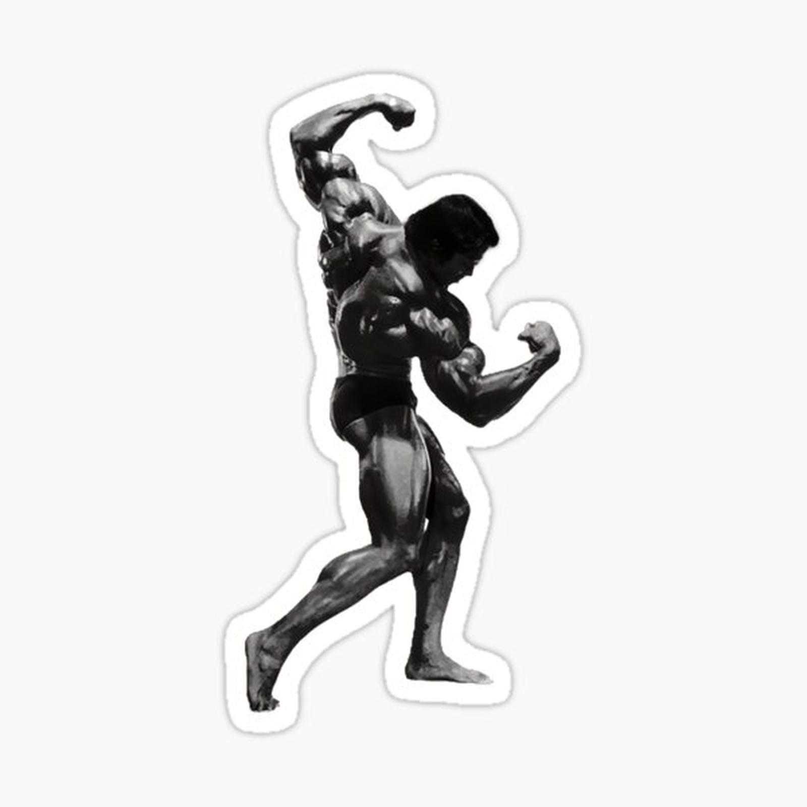 Arnold Schwarzenegger Pose