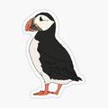 Atlantic Puffin Illustration
