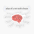 Atlas of a Vet Tech's Brain