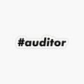 #auditor