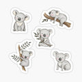 Aussie Animals_ Cute Koala Pack