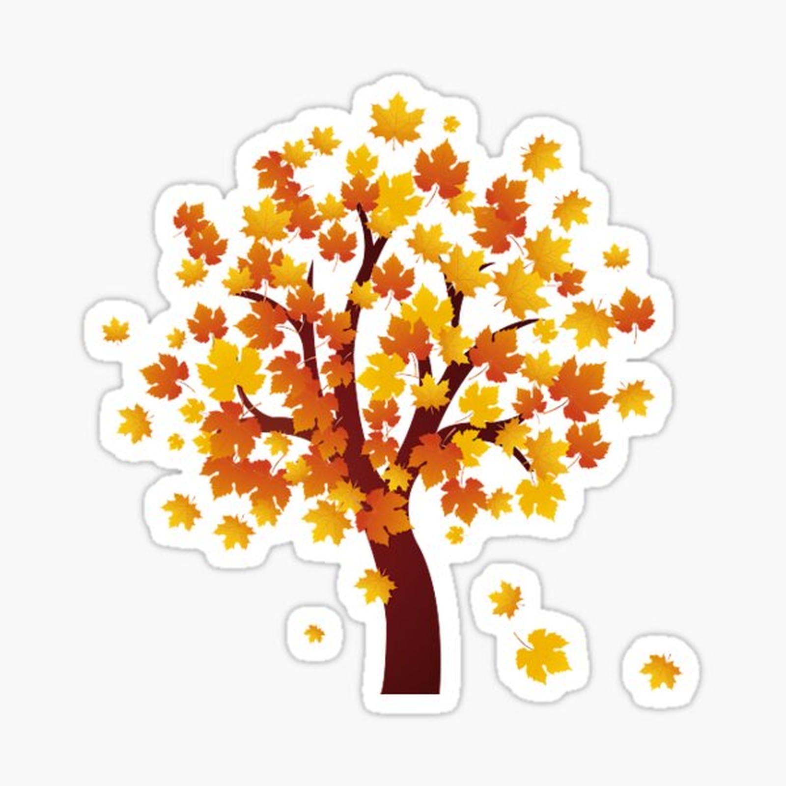 autumn leaves  tree