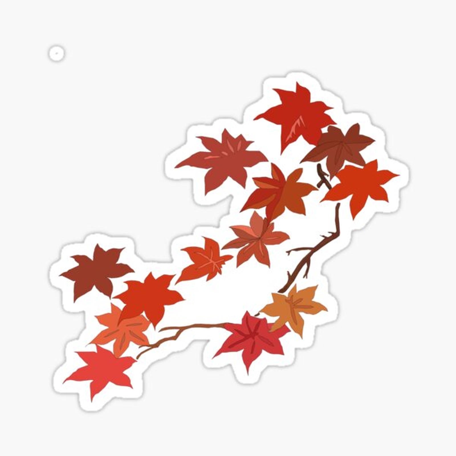 Autumn Maple Leaves