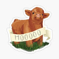 Baby Highland Cow