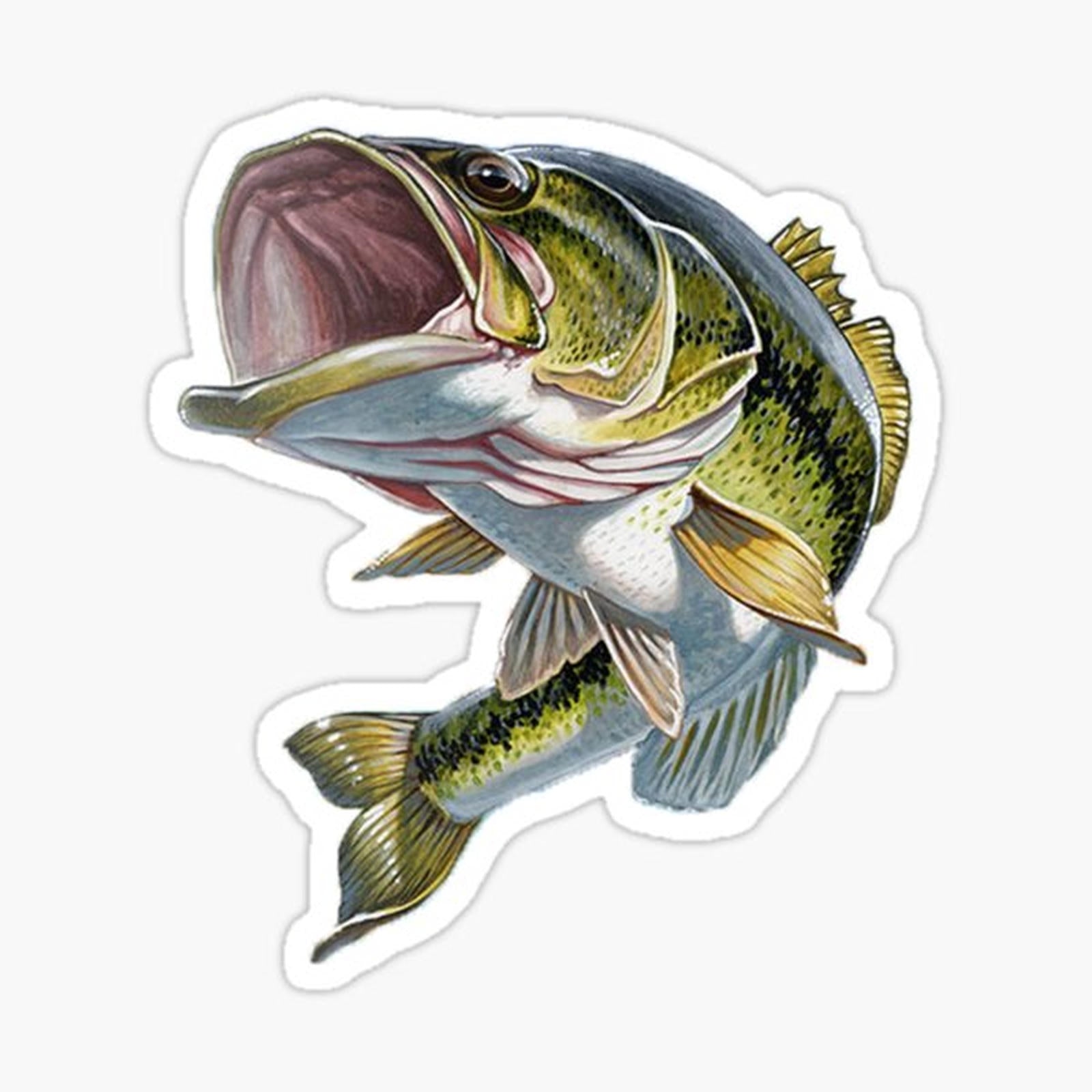 Bass Fishing