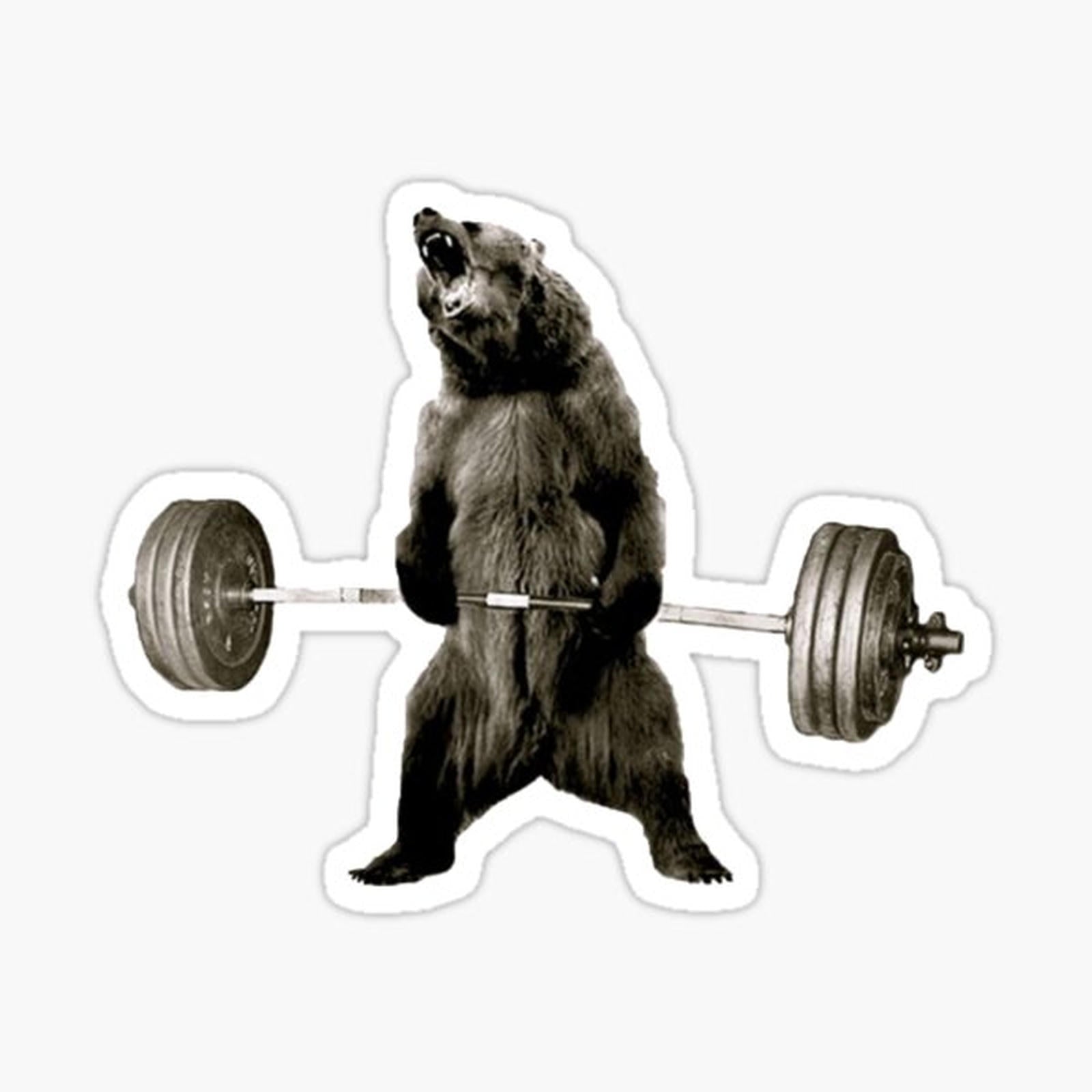 Bear Gains