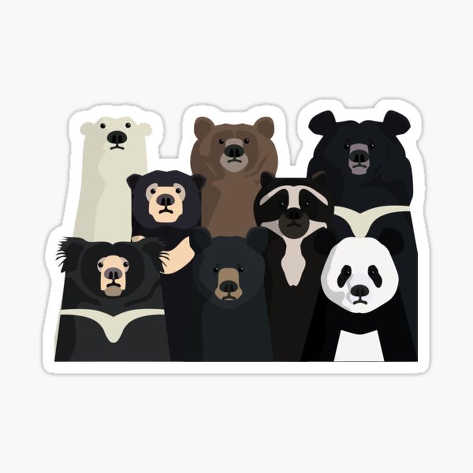 Bears of the world