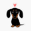 Black and Tan Dachshund with Heart _ Cute Cartoon Wiener Dog