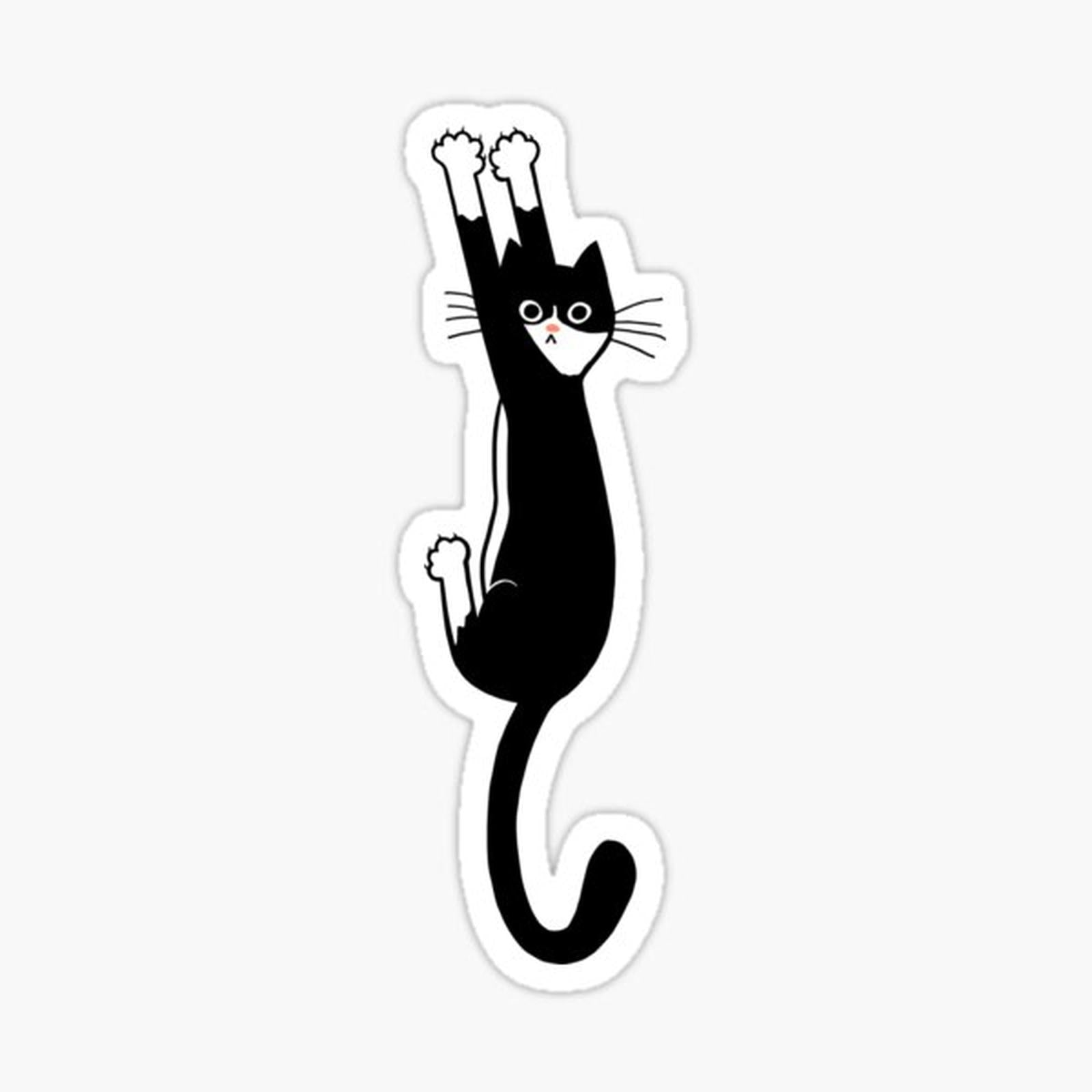 Black and White Cat Hanging On _ Funny Tuxedo Cat