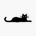 Black Cat