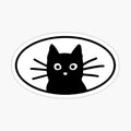 Black Cat Face