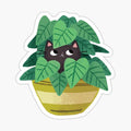 Black Cat In planter