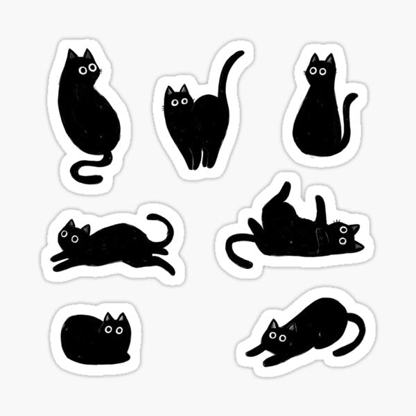 black cat pattern