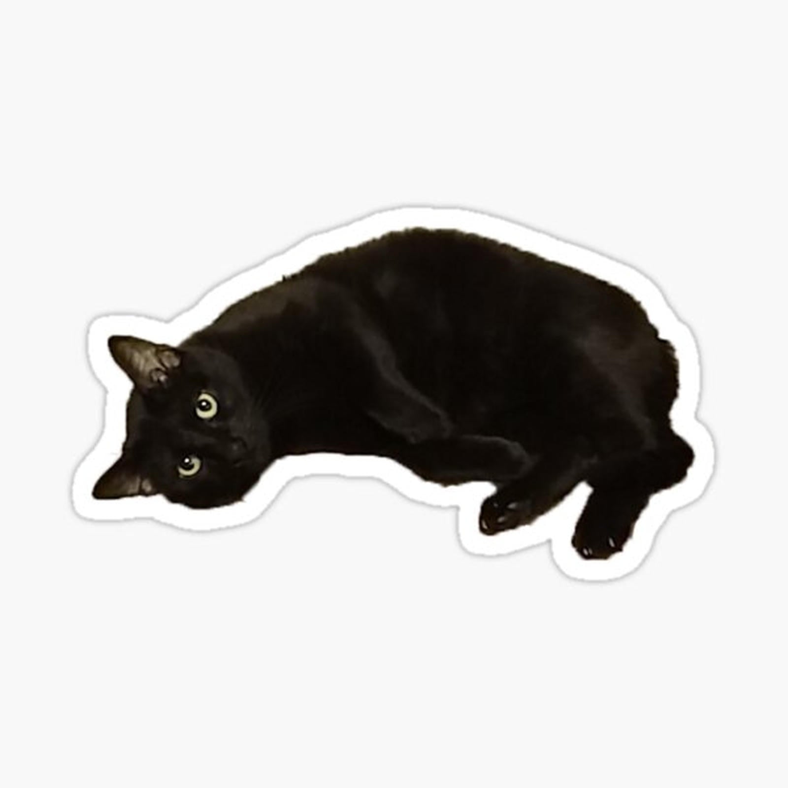 Black Cat