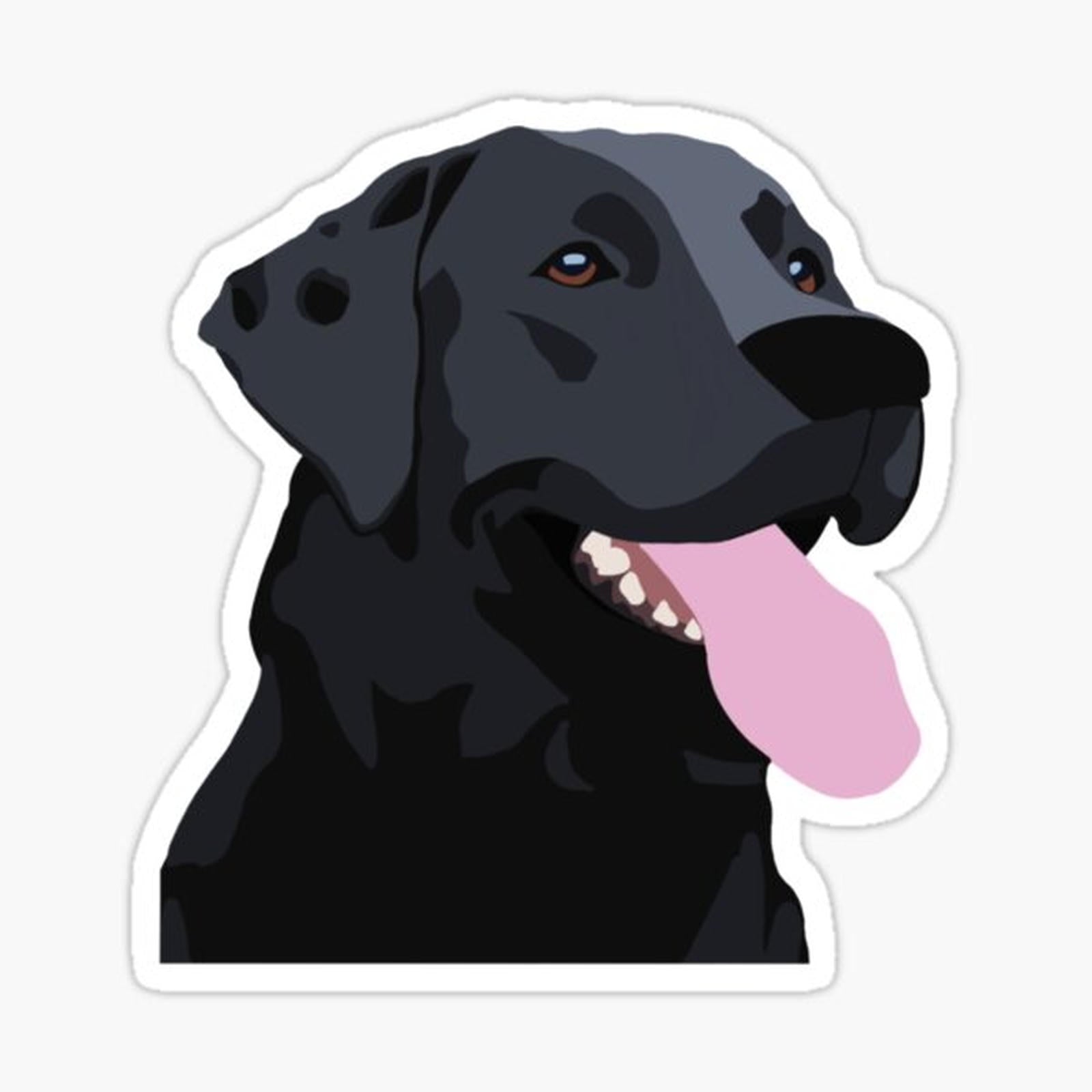 Black lab