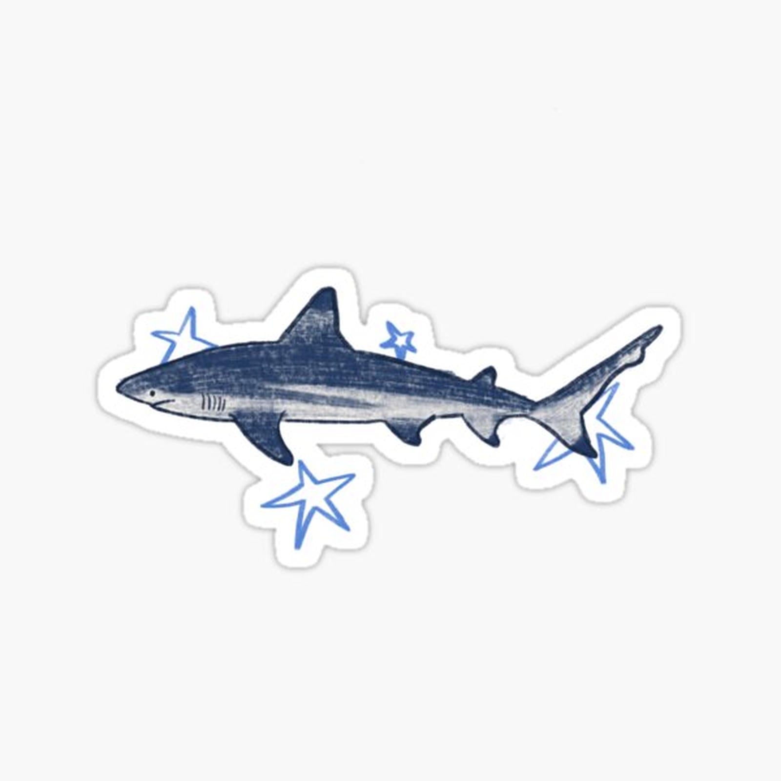 black tip reef shark swimming with stars
