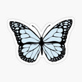 Blue Butterfly