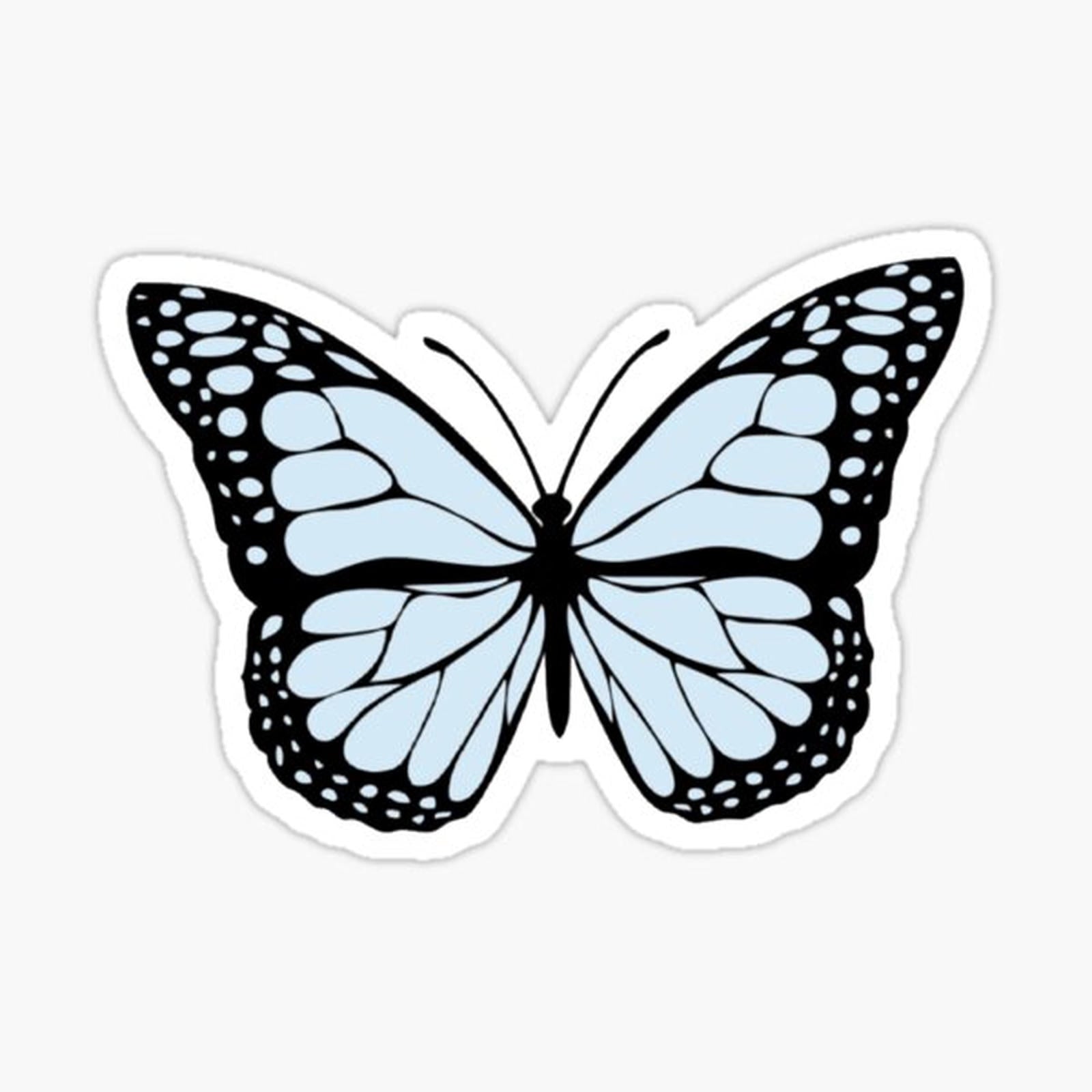 Blue Butterfly
