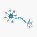 blue neuron