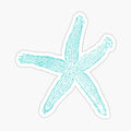 blue starfish