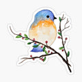 BlueBird and Berry Branch