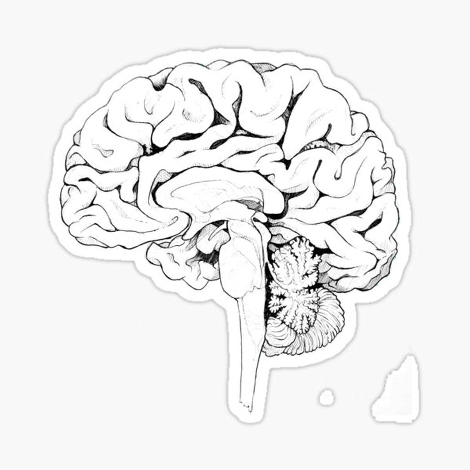 Brain Black_White