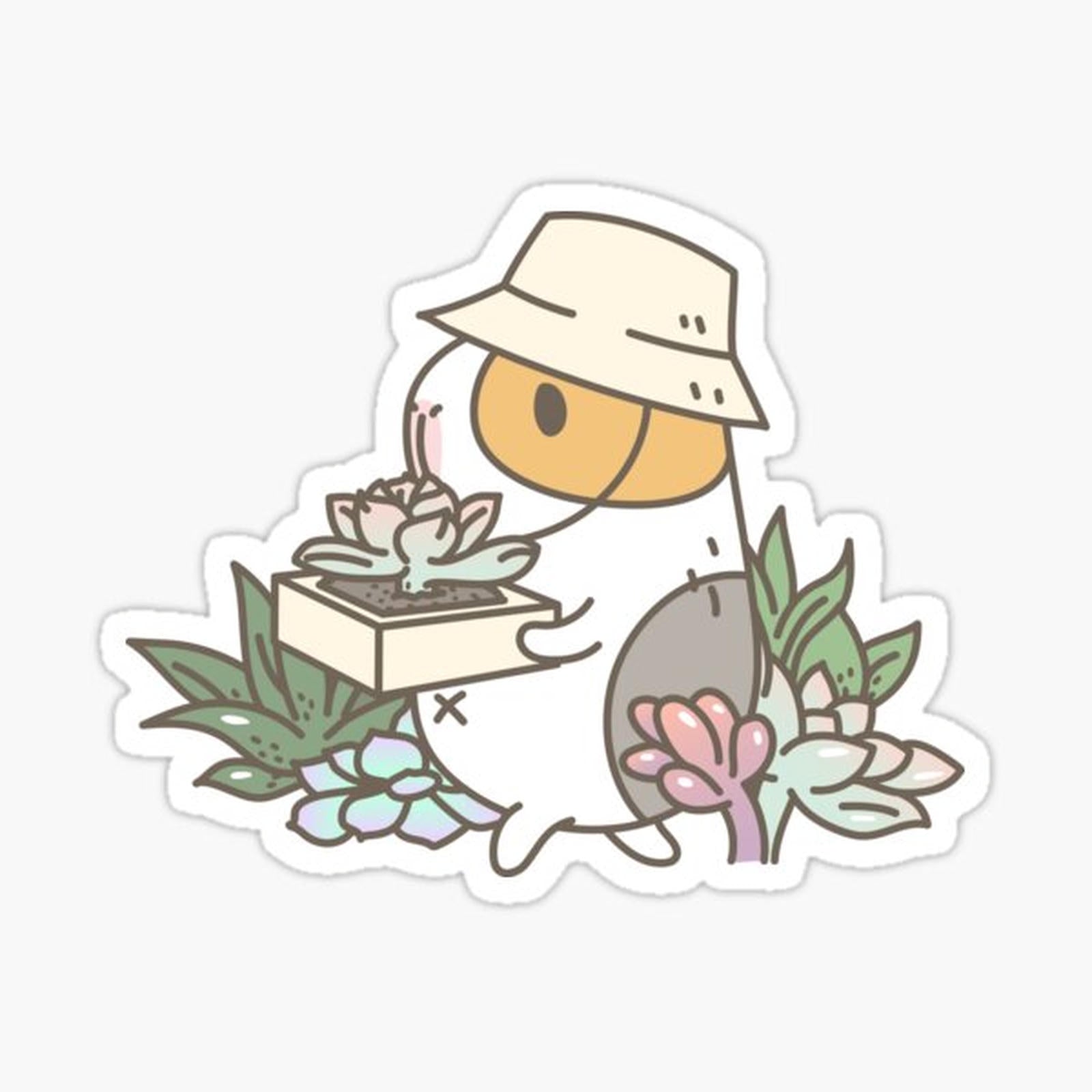 Bubu the Guinea Pig, Succulent Love