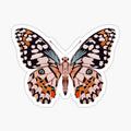 Butterfly Wings