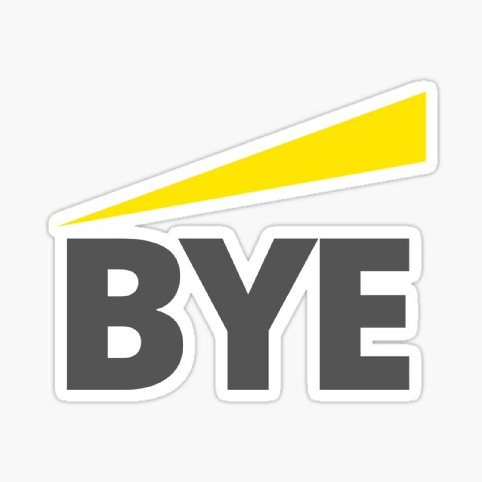 BYE Funny Audit Assurance Accountant