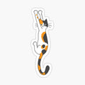Calico Cat Hanging On