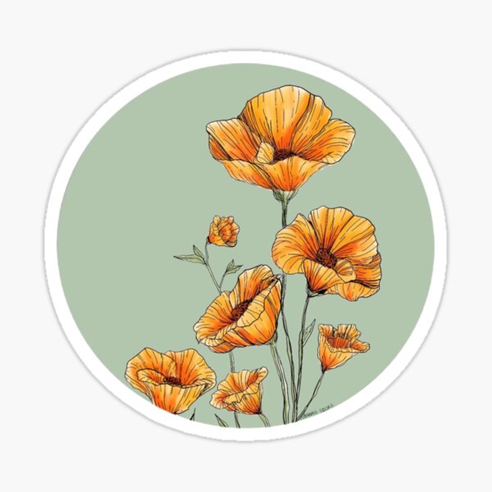 California Poppies
