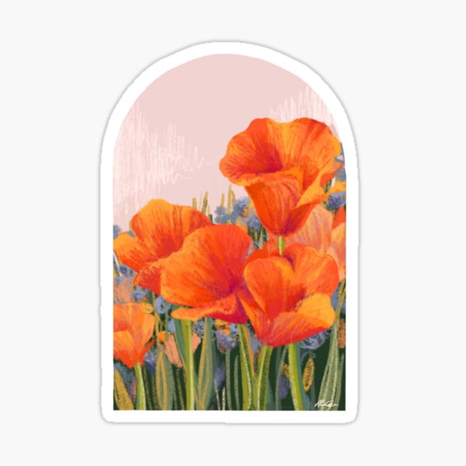 California Poppies