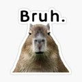 Capybara bruh meme