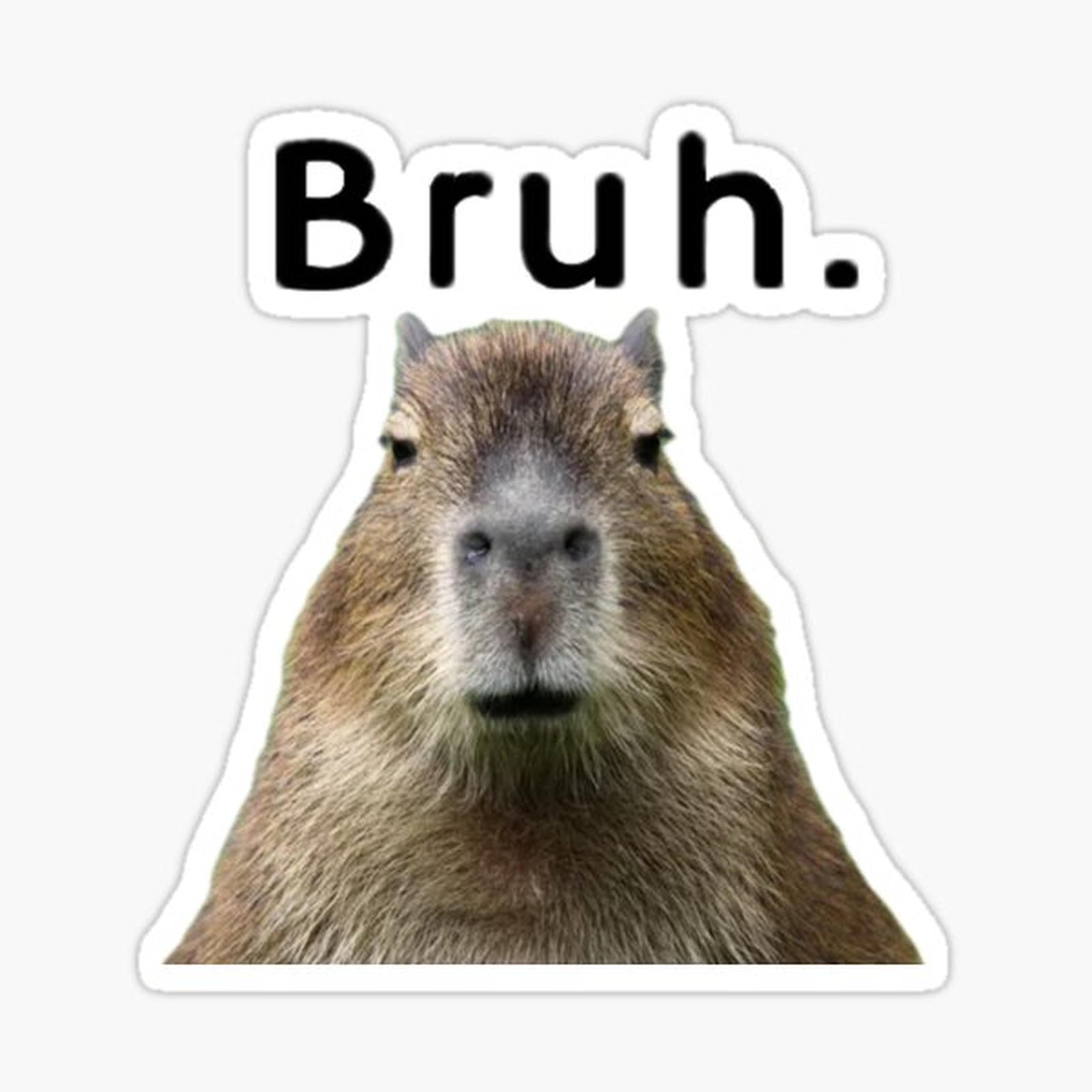 Capybara bruh meme