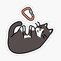 Carabiner Cat!