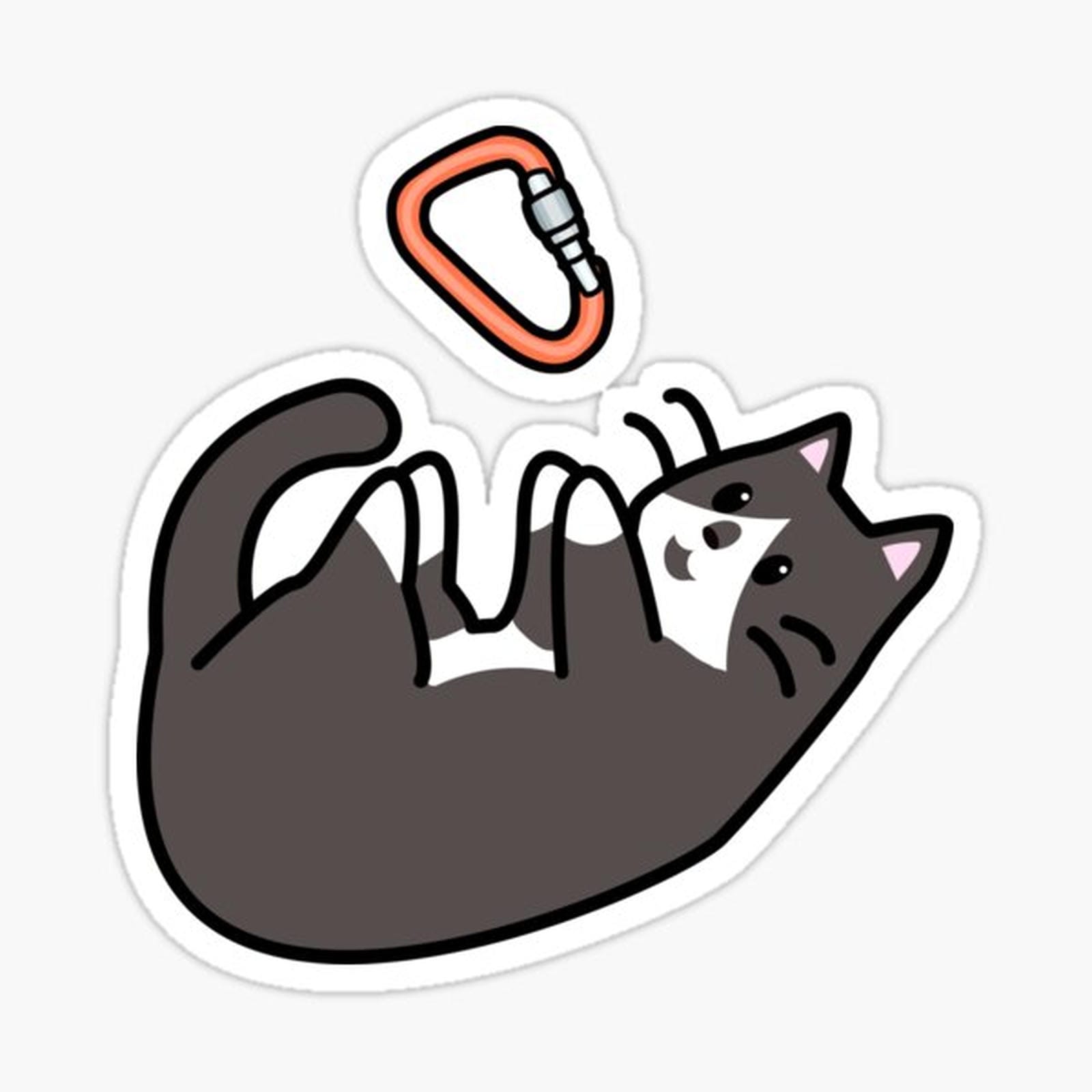 Carabiner Cat!