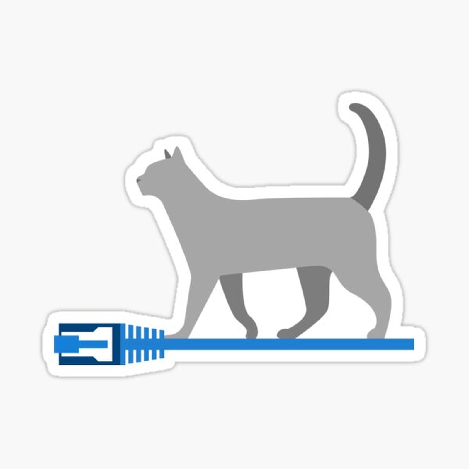 Cat 6 _ Automation _ Network _ IT