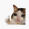 cat crying meme