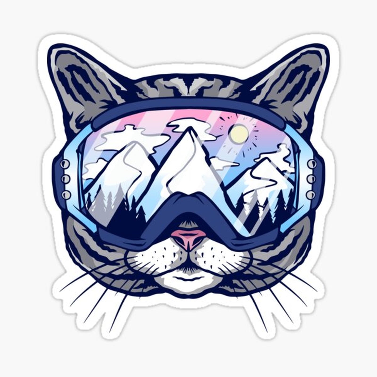 Cat ski goggles skiing