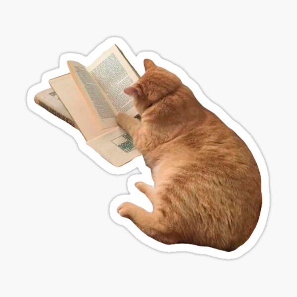 cat study