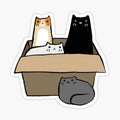 Cats in a Box