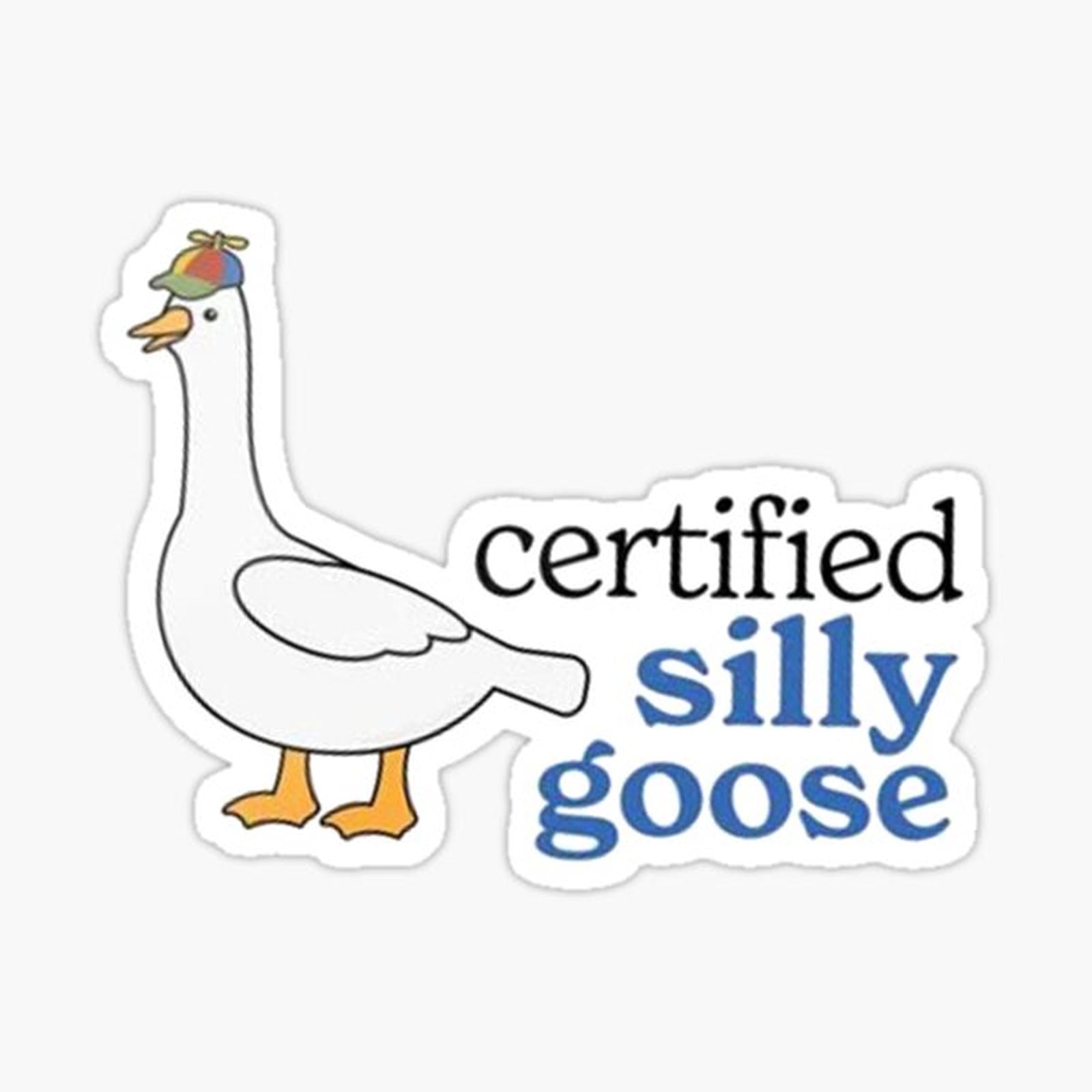 Certified Silly Goose