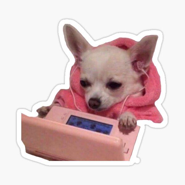 chihuahua ds meme