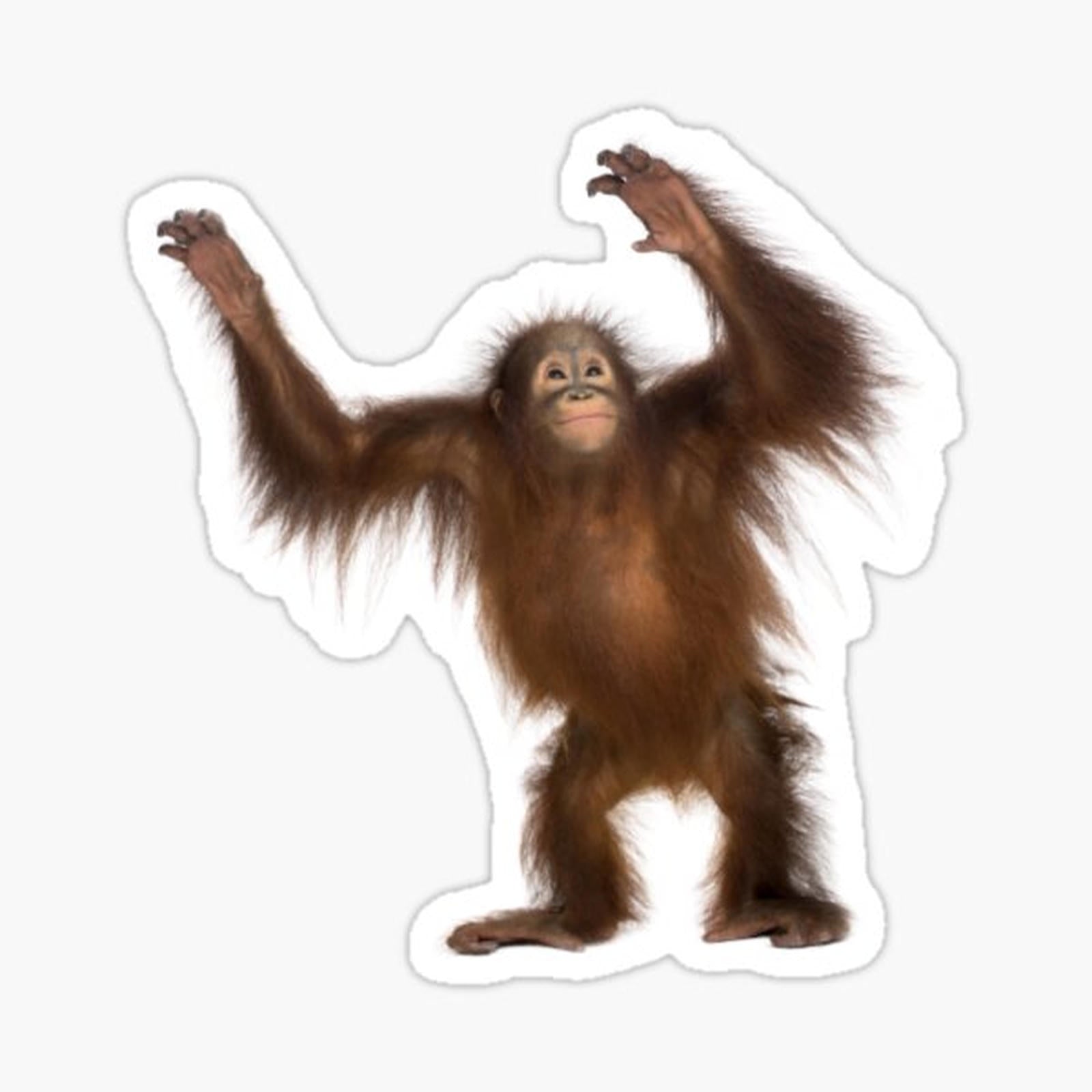 Chimpanzee Sticker