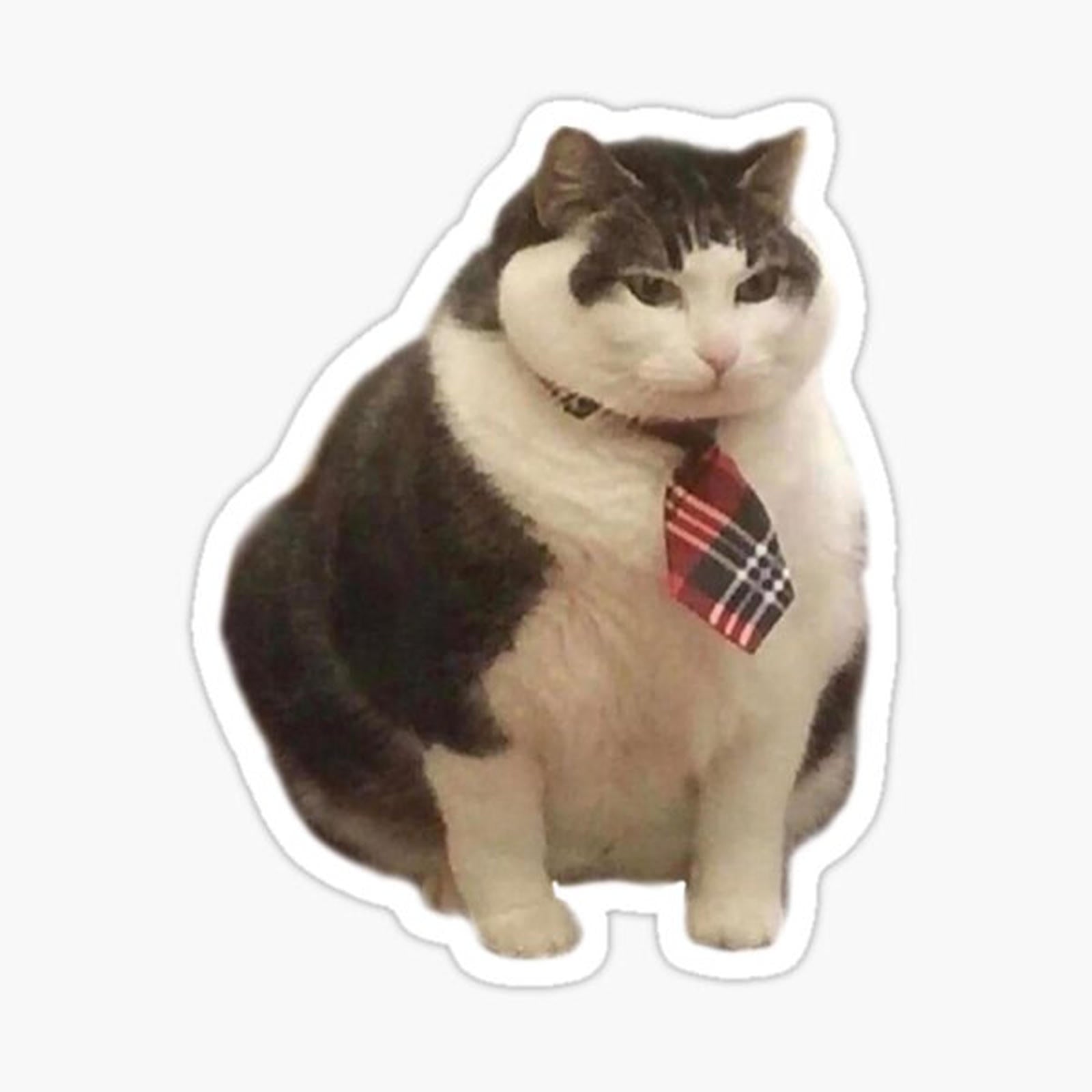 Chonky Smart Boi