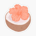 Coconut hibiscus flower