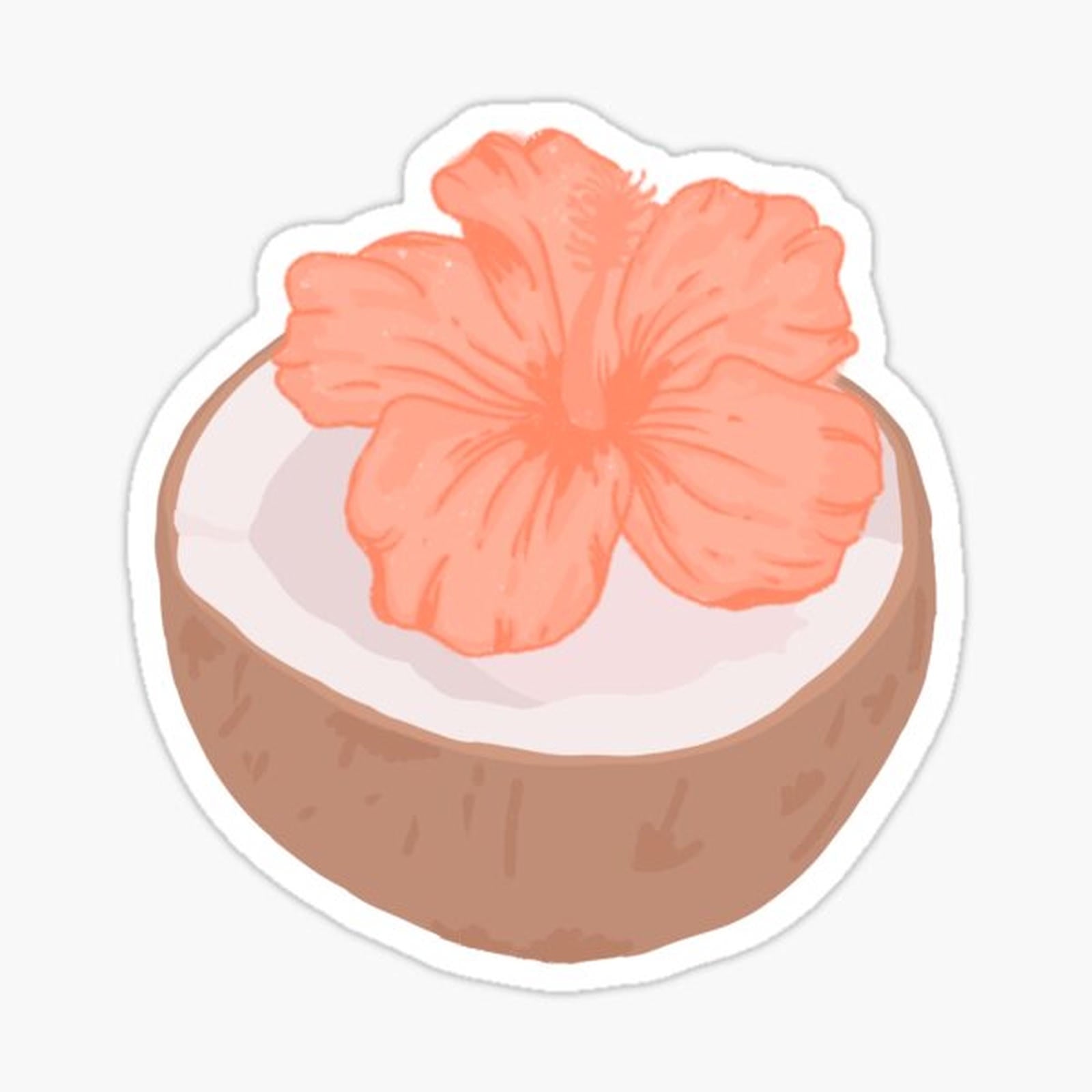 Coconut hibiscus flower