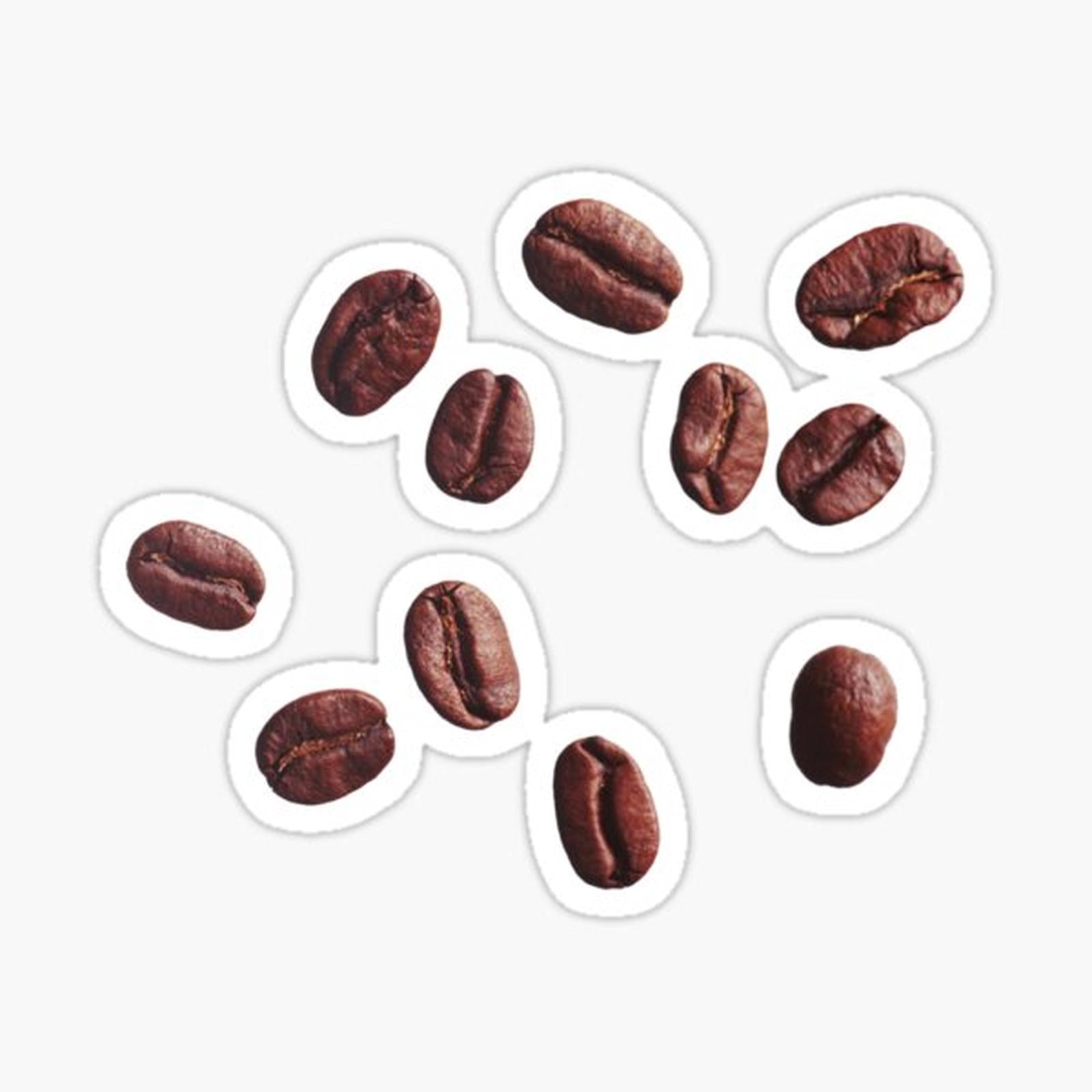 Coffee bean